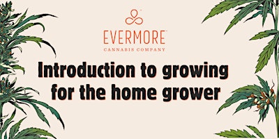 Image principale de Introduction to growing for the home grower