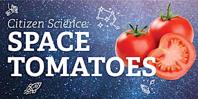 Imagen principal de Citizen Science: Space Tomatoes - Dufferin Clark Library