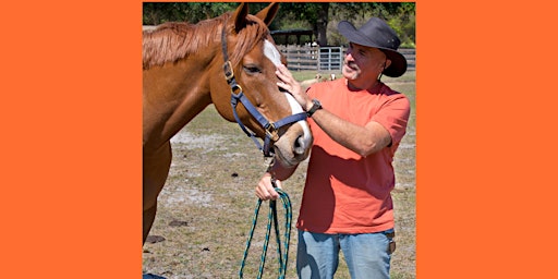 Imagem principal do evento Self Compassion with Equine-Celebrate Dad; Connect and Respect