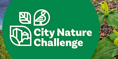 Image principale de City Nature Challenge Kick-off