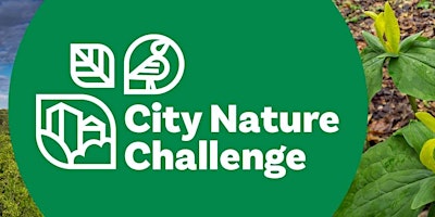 City Nature Challenge Kick-off primary image