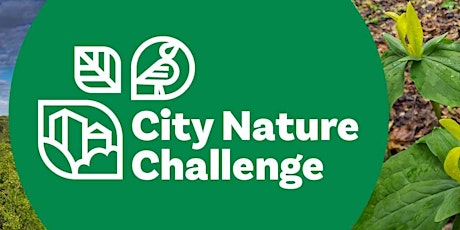 Imagen principal de City Nature Challenge Kick-off