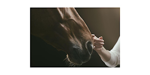 Hauptbild für Self Compassion with Equine; Awareness and Presence