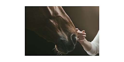 Imagen principal de Self Compassion with Equine; Awareness and Presence