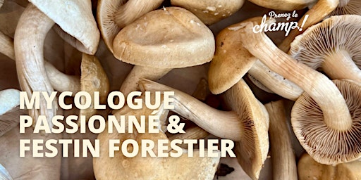 Imagem principal de Prenez le champ sur le thème des champignons sauvages x Racines