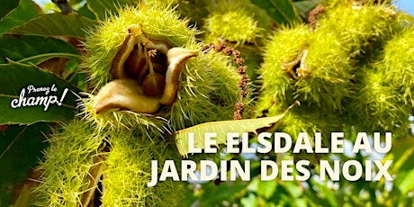 Prenez le champ Au jardin des noix x festin signé le Elsdale