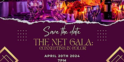 Imagem principal do evento The Net Gala - Connecting in Color