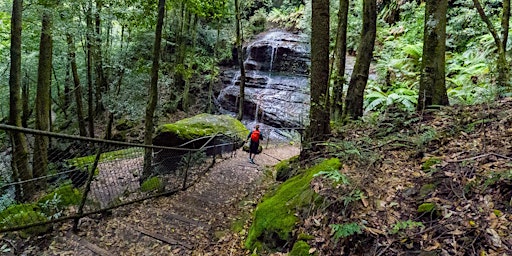 Imagen principal de Women's Katoomba Round Walk + Katoomba Falls Walk // 1st June