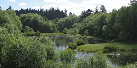 Hauptbild für Rood Bridge Park Earth Day Restoration Project