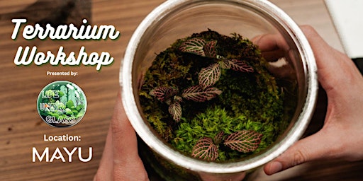 Imagem principal de Terrarium Workshop @ MAYU