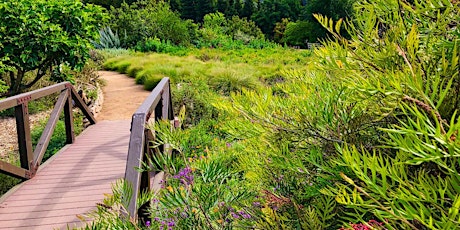 Out & About" Women's Hike at Arboretum of Los Angeles County primary image