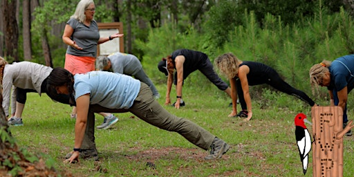 Forest Wellness- Yoga in the Park primary image