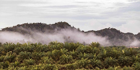 The Amazon Sacred Headwaters: Territories for Life primary image