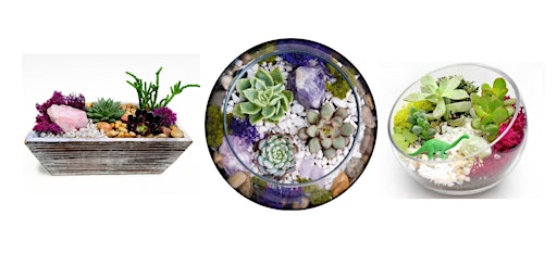 Succulent Spring Planting Night: ON SALE @ Brewdog Franklinton primary image