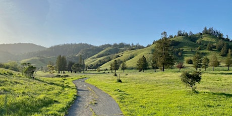 IN A LANDSCAPE: San Geronimo Commons