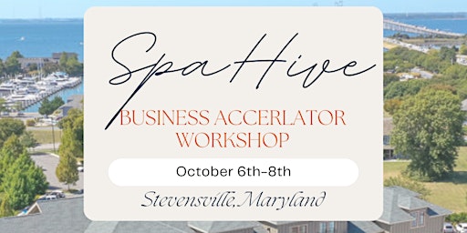 Business Accelerator Workshop + Live Love Spa primary image