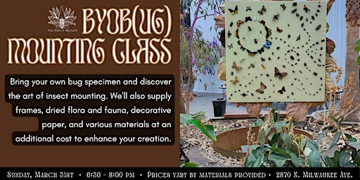 Imagem principal do evento BYOB Insect Framing & Mounting Class