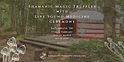 Immagine principale di Shamanic Magic Truffles Ceremony with Sound Medicine 