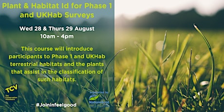 Plant & Habitat ID for Phase 1 & UKHab  Surveys  (2 days) primary image