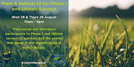 Image principale de Plant & Habitat ID for Phase 1 & UKHab  Surveys  (2 days)
