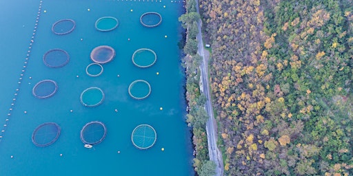 Immagine principale di Impact du changement climatique sur l’aquaculture sous toutes ses formes 