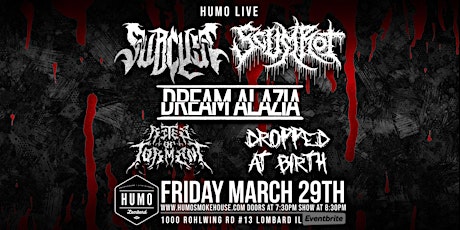 Dream Alazia, Subcyst, Rites of Torment, Scumrot, Dropped at Birth