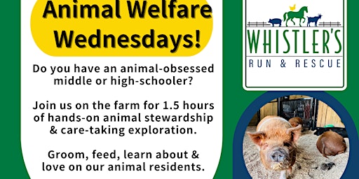 Imagem principal do evento Animal Welfare Wednesdays