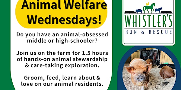 Animal Welfare Wednesdays