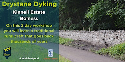 Immagine principale di Drystone Dyking (2 days) 