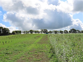 Sustainable  biomass crop establishment and end use options