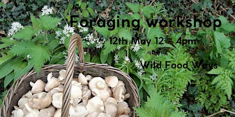 Primaire afbeelding van Foraging workshop