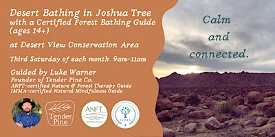 Image principale de Desert Bathing in Joshua Tree w/ a Certified Forest Bathing Guide (14yr&up)