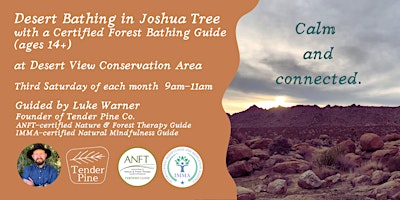 Desert Bathing in Joshua Tree w/ a Certified Forest Bathing Guide (14yr&up)  primärbild