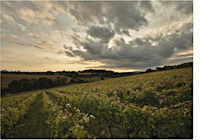 Hauptbild für English Wine Week