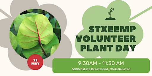 Hauptbild für STXEEMP Plant Day
