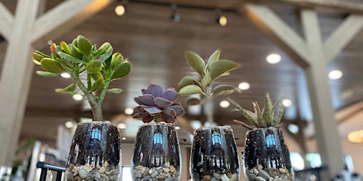 Succulent Flights at Sober Inn primary image