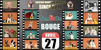 Primaire afbeelding van TOM&CO BOUGE SHOOTING PHOTO