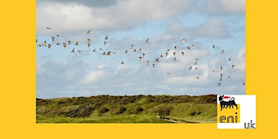 Imagem principal do evento Taith Gerdded a Sgwrs am Adar  Pwynt Dyr || Point of Ayr Bird Walk and talk