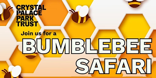 Imagem principal do evento Earth Day 2024: Bumblebee Safari
