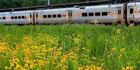 Trails to Rails in Indiana's Calumet Region