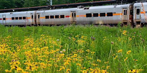 Primaire afbeelding van Trails to Rails in Indiana's Calumet Region