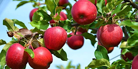 The Edible Landscape for People and Wildlife