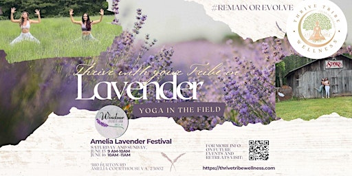 Yoga At Lavender Festival