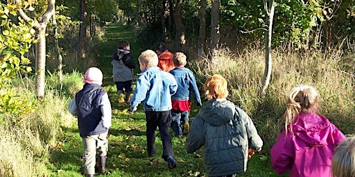 Little Acorns Explorers primary image