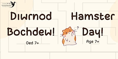 Diwrnod Bochdew! (Oed 7+) / Hamster Day! (Age 7+) primary image