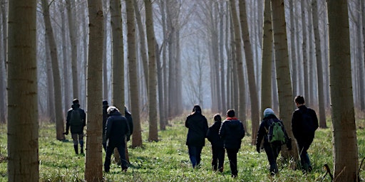 Hauptbild für Sur les traces des castors de la Boivre