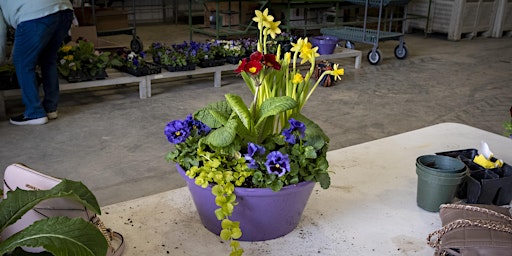 Image principale de Spring Bowl Workshop