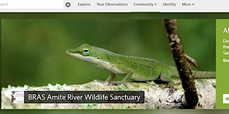 City Nature Challenge BioBlitz at BRAS Amite River Wildlife Sanctuary