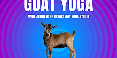 Goat Yoga at Key Brewing Co. primary image