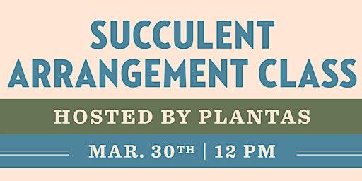 Primaire afbeelding van Succulent Arrangement Class Hosted by Plantas